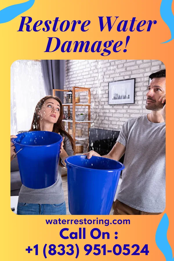 water restoration Pro Cleanup & Sons Nuangola
