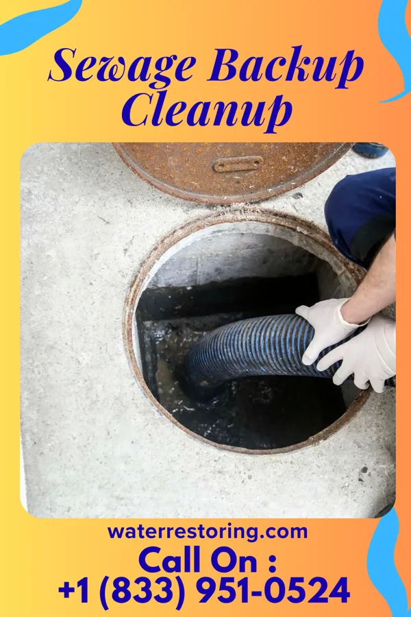 Sewage Backup Cleanup in Nuangola, PA