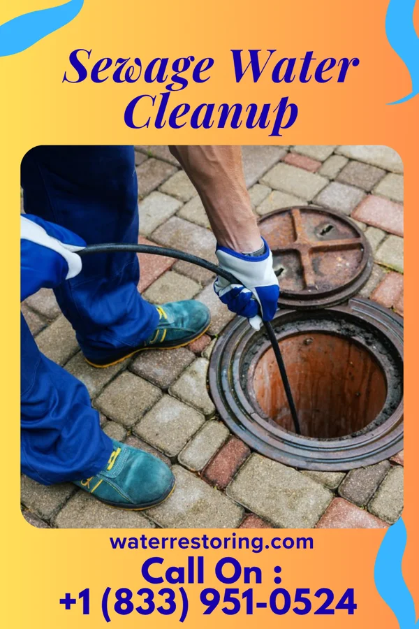 Sewage Water Cleanup in Nuangola, PA