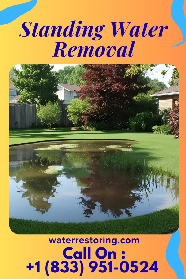 Standing Water Removal in Nuangola, PA